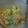 じょうじょうちゃん's cooksnap of when they made スナップエンドウのポテトサラダ.