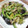 chikomaruo's cooksnap of when they made 新玉ねぎとゴーヤの味噌炒め.