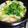 ぴょこんが～'s cooksnap of when they made 鮭と白菜の酒蒸し.