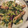 ルリナ's cooksnap of when they made きゅうりと油揚げの酢の物.