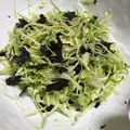 ぱぱぷぅ's cooksnap of when they made キャベツと塩昆布と韓国海苔サラダ！△ドレ.