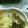 ma___111's cooksnap of when they made 簡単！シソ香る我が家の舞茸バターライス✿.