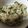 たみゅこ's cooksnap of when they made 大根の葉炊き込みご飯.