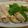 あみあみぬいぬい's cooksnap of when they made 鶏もも肉の塩蒸し・１キロでどかんと。.
