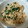 キッッックリン's cooksnap of when they made さば缶でほうれん草の白あえ.
