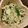 3426's cooksnap of when they made ちょっと一品～ホウレン草の和え物.