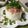 さぐわぁ's cooksnap of when they made え！簡単過ぎ!!大根のお通し.