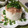 さぐわぁ's cooksnap of when they made え！簡単過ぎ!!大根のお通し.