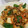 ＭＯＫＯＳＮＯＷ's cooksnap of when they made 豚肉と厚揚げのゴマ味噌炒め.