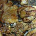 あやなや's cooksnap of when they made 簡単！鶏肉の照り焼き。照り焼きチキン.