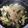 もぐもぐあやごはん's cooksnap of when they made 簡単！ソース焼うどん.