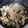 もぐもぐあやごはん's cooksnap of when they made 簡単！ソース焼うどん.