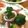のりこ523's cooksnap of when they made ブロッコリーといかのガーリック醤油炒め.