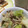 リラシャン's cooksnap of when they made 簡単☆きゃべつときのこの麺つゆあえ.