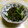 ＭＯＭＯちゃん's cooksnap of when they made ほうれん草のお浸し・海苔風味.