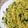 azu211's cooksnap of when they made 作りおき★春菊のジェノバ風ソース.