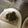 クックNQR14K☆'s cooksnap of when they made 豚ロースのネギニラ塩レモンタレ.