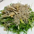 香園るな's cooksnap of when they made パリパリごぼうと水菜のサラダ.