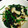 くらりねっと☆'s cooksnap of when they made ほうれん草ときのこの温サラダ.