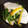 みよっぺ's cooksnap of when they made かぶのゆず漬け.