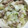 ･浅倉's cooksnap of when they made 豚肉のマヨ生姜炒め丼.