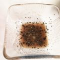 ゆかりりりー's cooksnap of when they made さっぱりぎょうざのたれ.