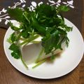 いじゅむ's cooksnap of when they made パクチーの冷や奴.