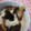 モカシナ's cooksnap of when they made しいたけ☆とろろ.