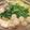 MAKEMA's cooksnap of when they made あっさり肉団子鍋☆.