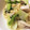リトルエミエル's cooksnap of when they made 簡単☆鶏ときのこの和風スープパスタ.