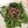 円満キンキン's cooksnap of when they made 簡単！水菜と舞茸の和風サラダ.