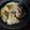 まこりあ's cooksnap of when they made 炊飯器de鯛のアラ飯.