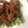 Great3's cooksnap of when they made とり手羽もちこチキン（甘辛揚げ風）.