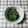 アタックひめちゃん's cooksnap of when they made テキトー☆麺つゆでほうれん草のおひたし.