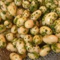 ふぁんたにゃん's cooksnap of when they made 箸が止まらない塩大豆.
