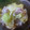 Brockley's cooksnap of when they made 和風スープパスタ 〜鶏とたっぷり野菜〜.