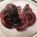 かずよmama's cooksnap of when they made たこの茹で方.