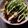 広野のタイタン's cooksnap of when they made さんま缶とアボカドで☆お手軽丼♪.