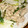 しもしも☆'s cooksnap of when they made カブと豚肉炒め.
