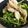 ◎あーたん◎'s cooksnap of when they made 簡単♪豆苗と舞茸の煮浸し.