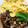 05なおっち's cooksnap of when they made さんまのそぼろ丼.