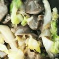 maisun's cooksnap of when they made 砂肝のネギきゃべ炒め.