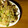 クック5MCRVG☆'s cooksnap of when they made アサリと茸の和風パスタ.