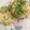 クックZ8J4H4☆'s cooksnap of when they made 切って焼くだけ！サクサク長いものソテー.