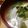 ちゃきんぐ's cooksnap of when they made 里芋とかぶと打ち豆のお味噌汁　.