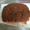 iwakiri☆'s cooksnap of when they made おからのココア蒸しパン.