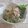 愛乙女☆愛's cooksnap of when they made もやしとカイワレで簡単＊夏のすっぱサラダ.