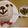 ゆいこ２１００'s cooksnap of when they made スイートかぼちゃDEクマ☆誕生日の離乳食.