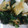 かお1200's cooksnap of when they made はんぺんとかぶの葉激ウママヨ炒め.