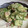 kasumisou⁂'s cooksnap of when they made 簡単胡瓜とツナマヨサラダ.